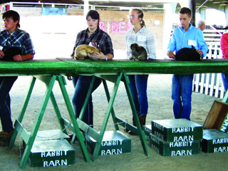Madison Co Fair